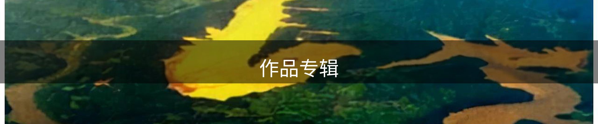 作品专辑
